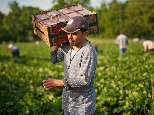Agriculture Farm Worker Jobs in Germany