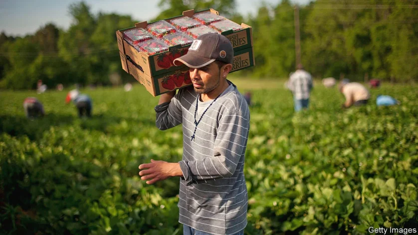 Agriculture Farm Worker Jobs in Germany