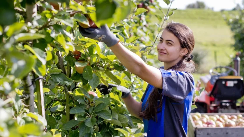 Australia Fruit Picker Farm Worker Jobs